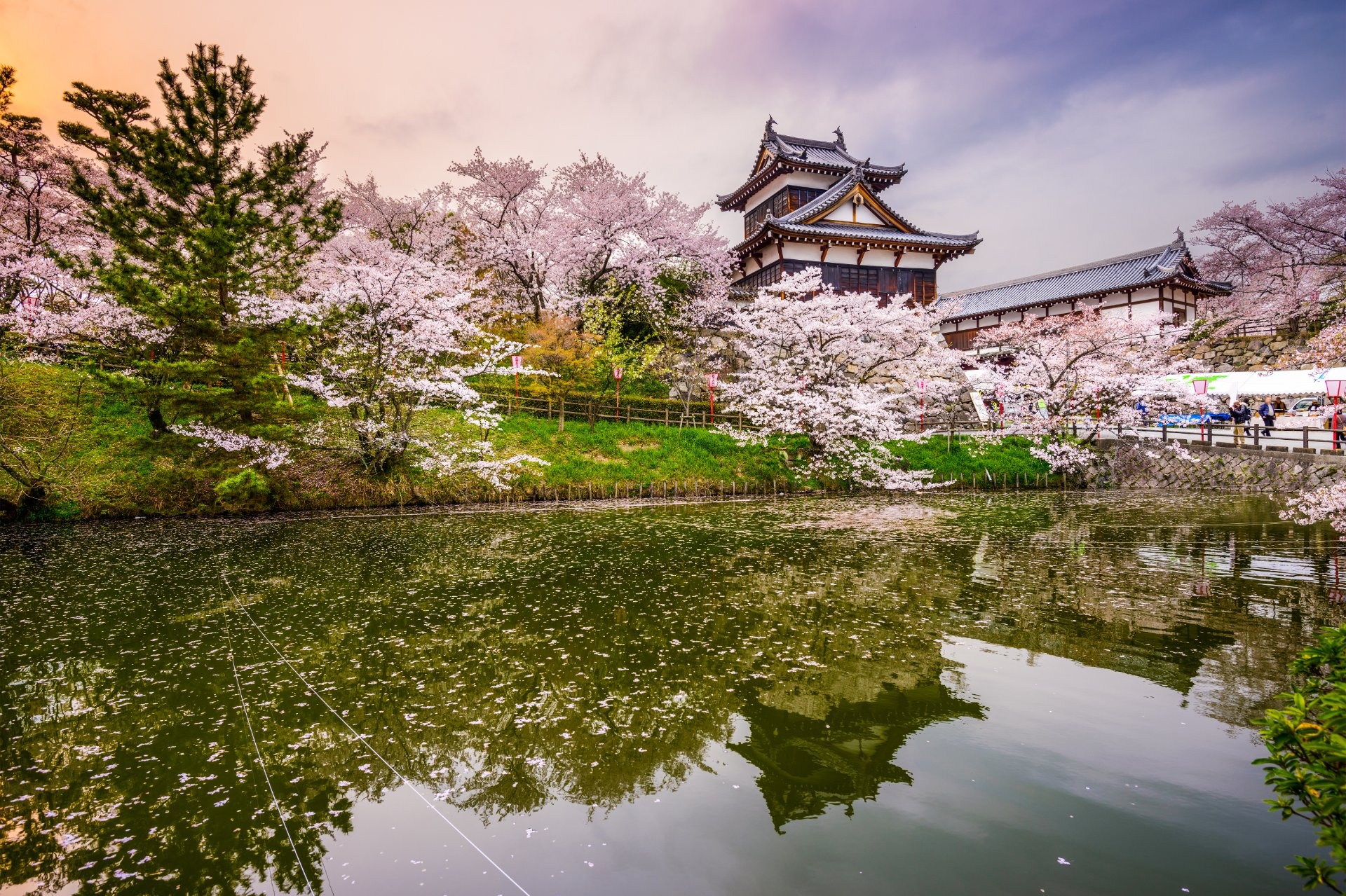 ext-japon-castillo-koriyama-primavera