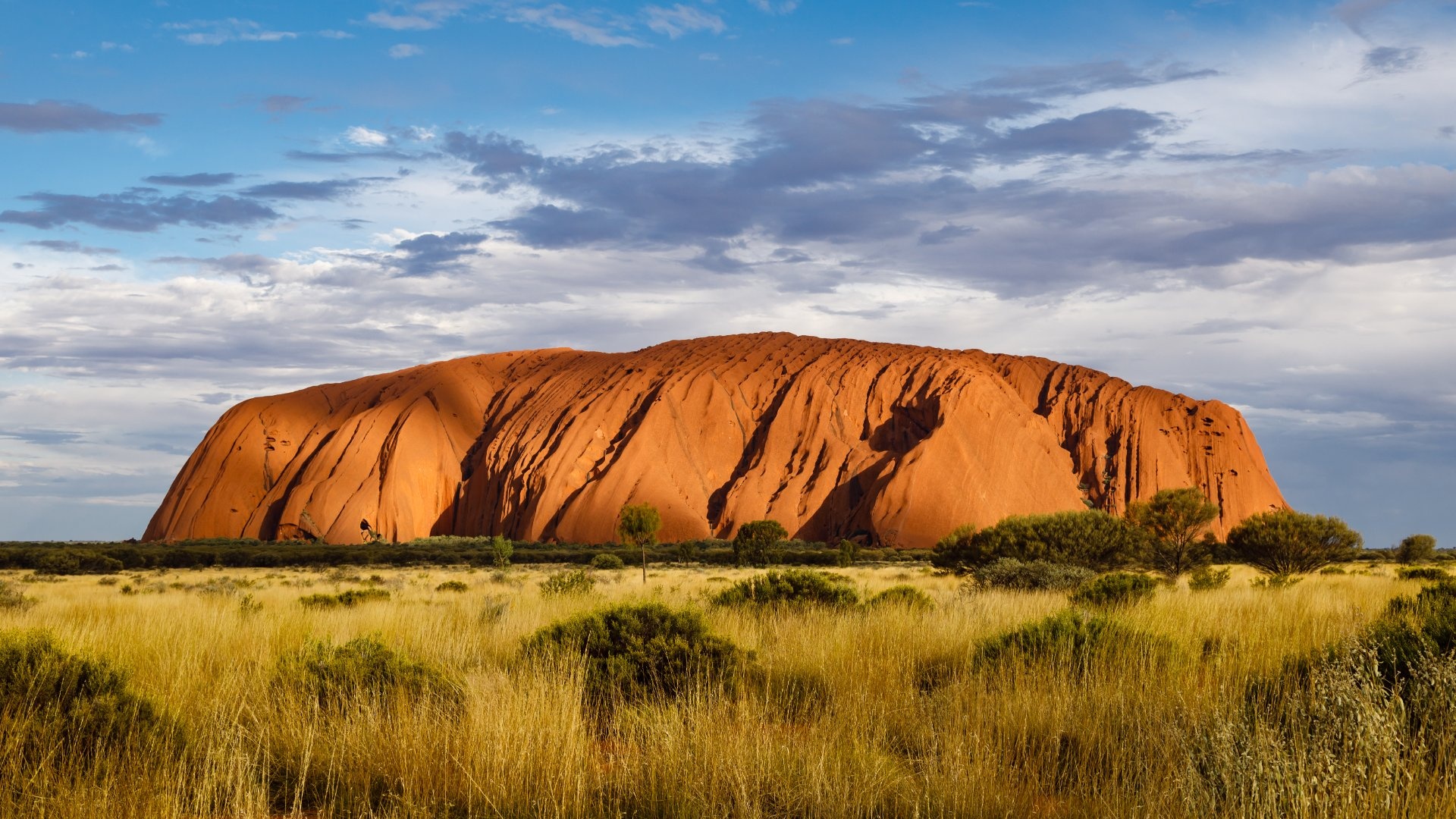 australia-roca-ayers