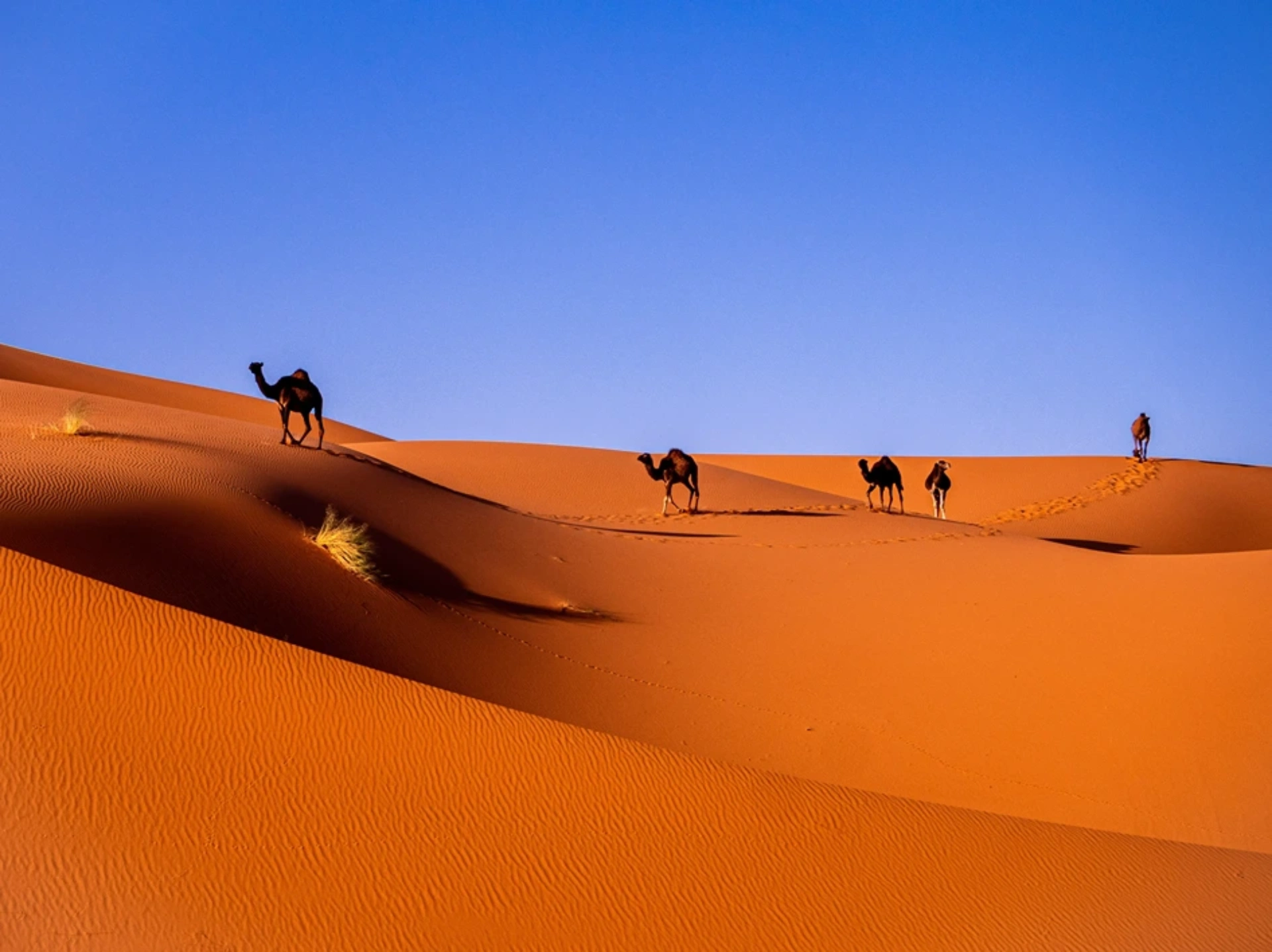Merzouga_Marruecos_1