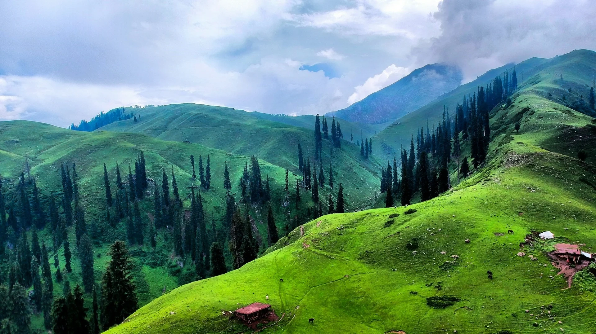 pakistan-header