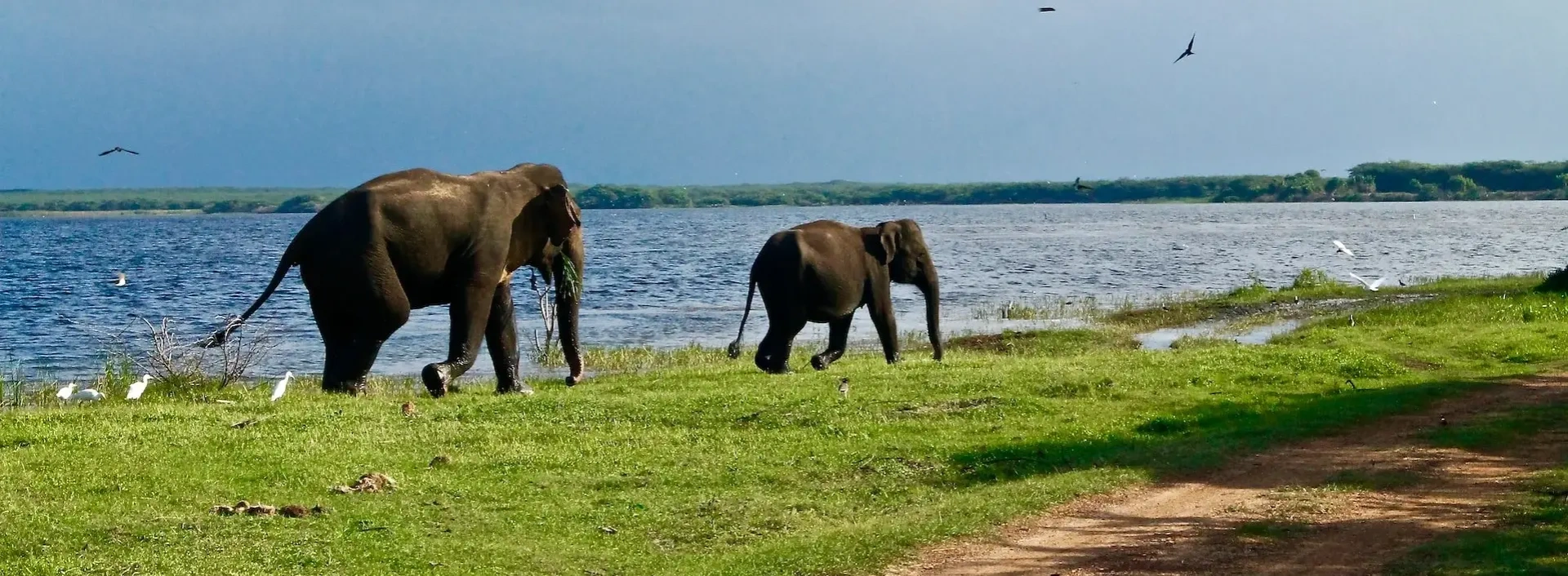 ___Sri-Lanka_12.4353733446249276632