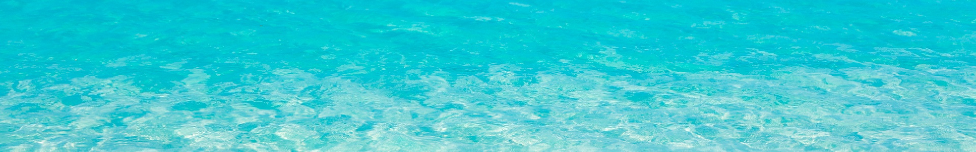 1920x300_header_verano_DK