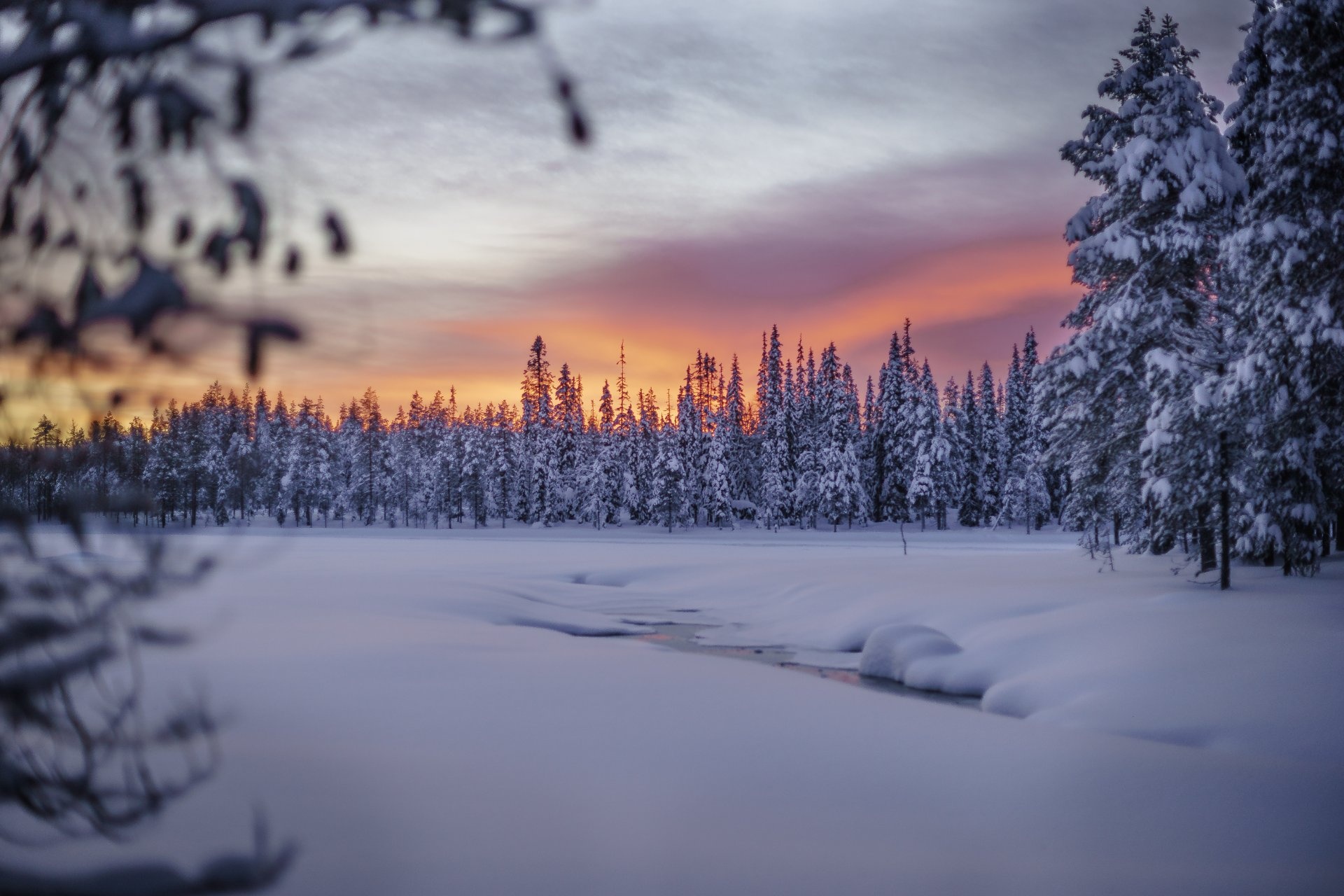 Paisaje de Salla Finlandia