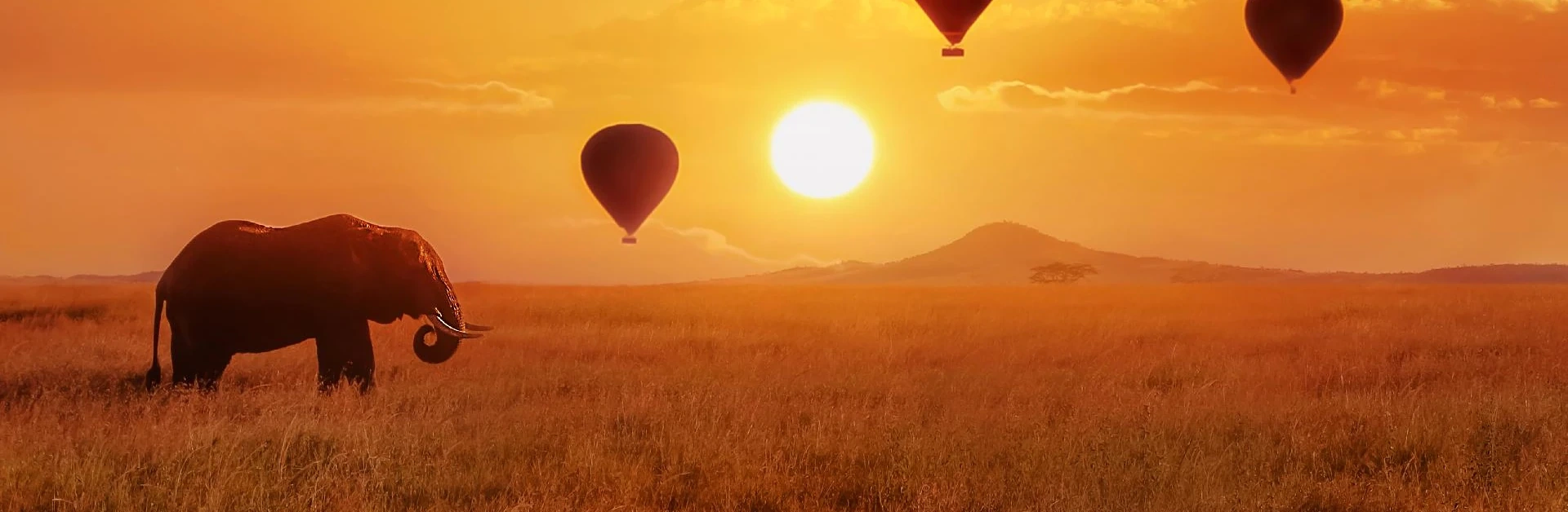 kenia-luna-miel-header