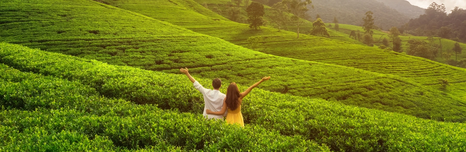 sri-lanka-luna-miel-header