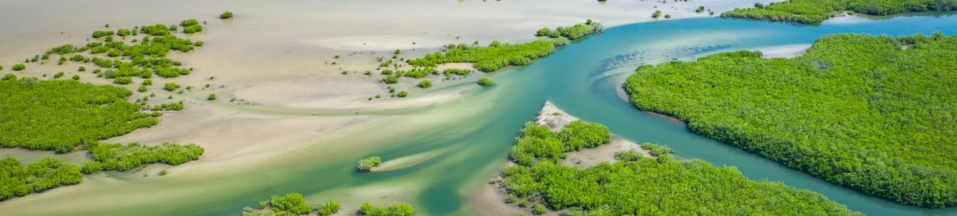 viajar a senegal viajes a africa