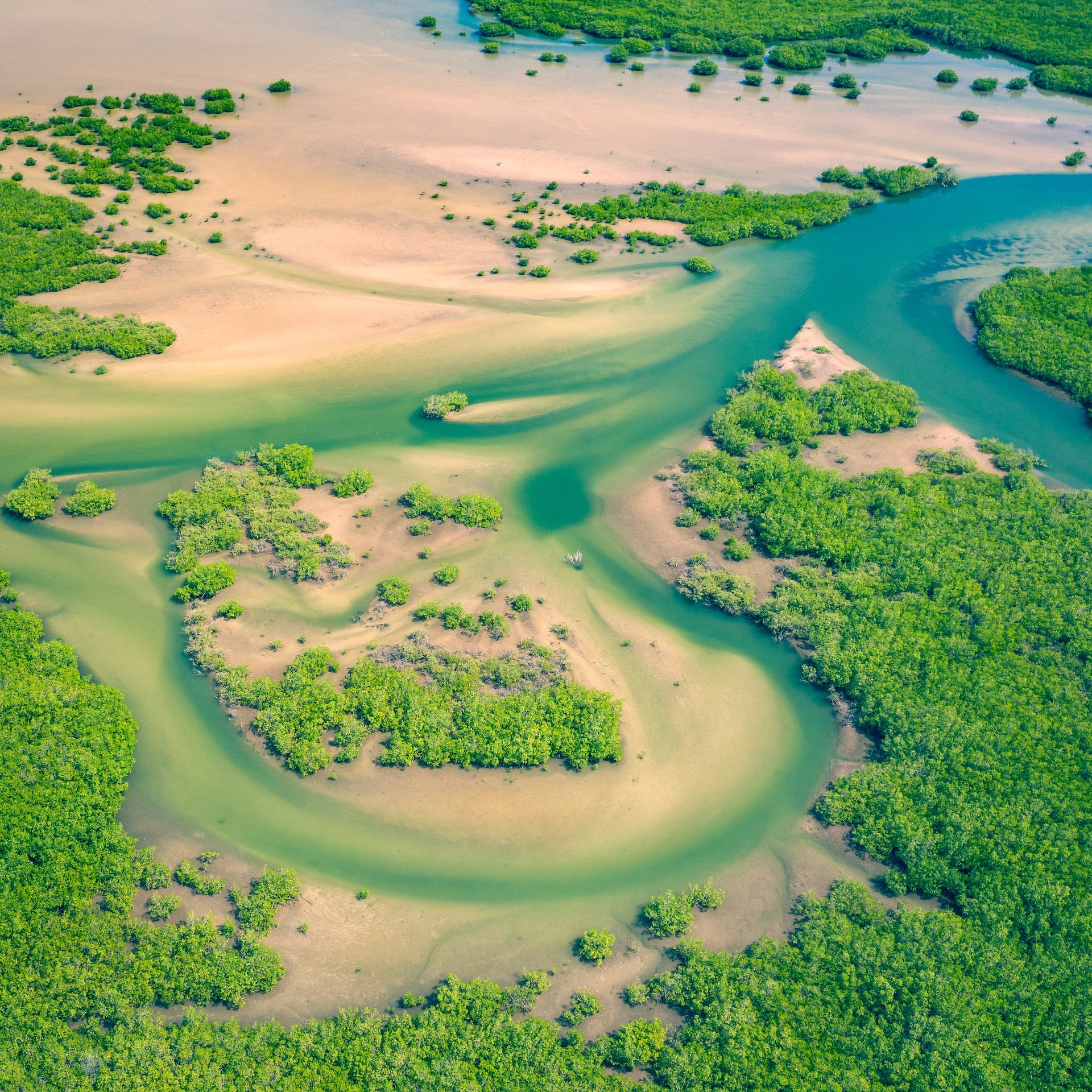 senegal_2
