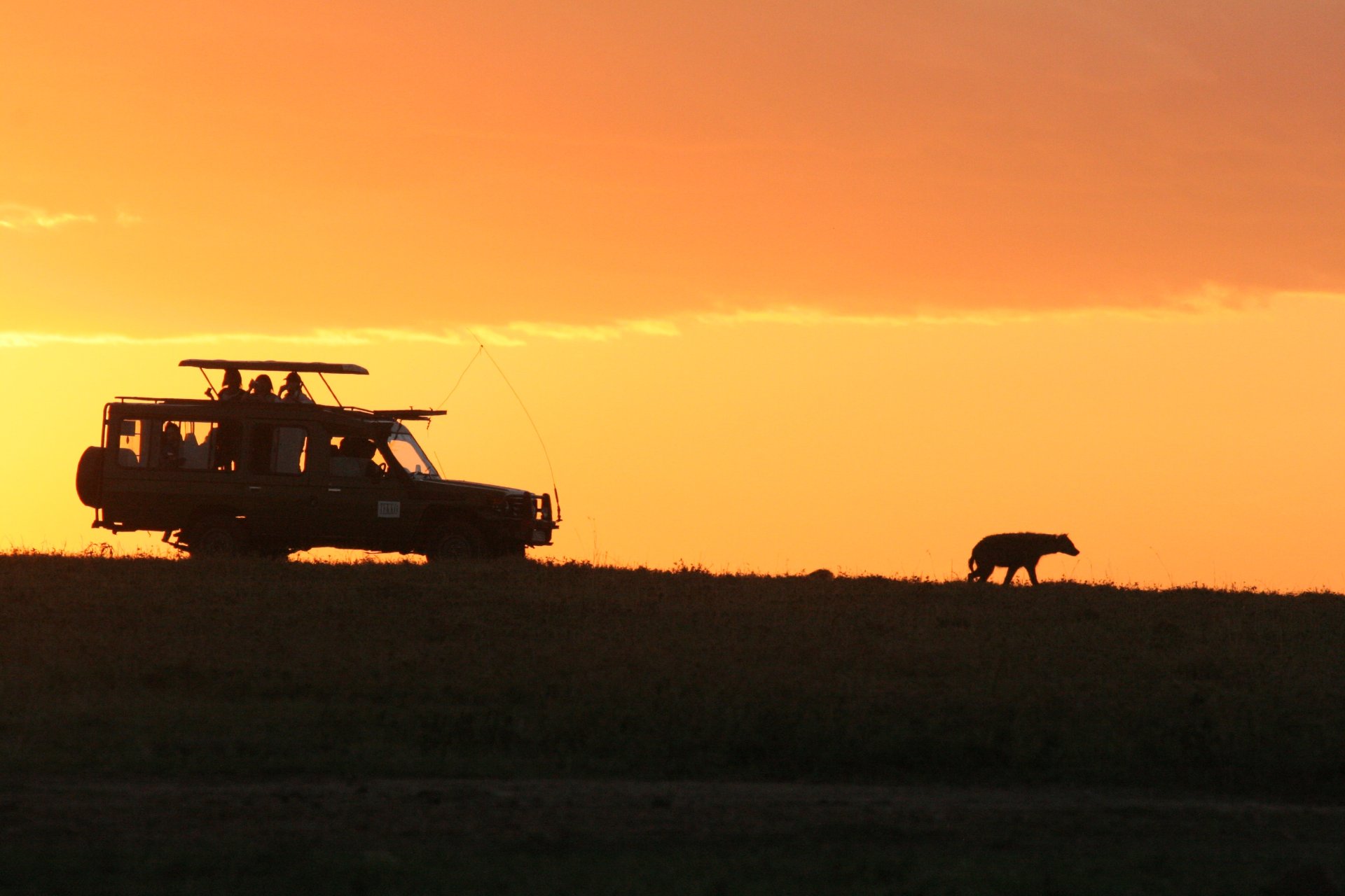 Estilo_Safaris-Fotograficos_13