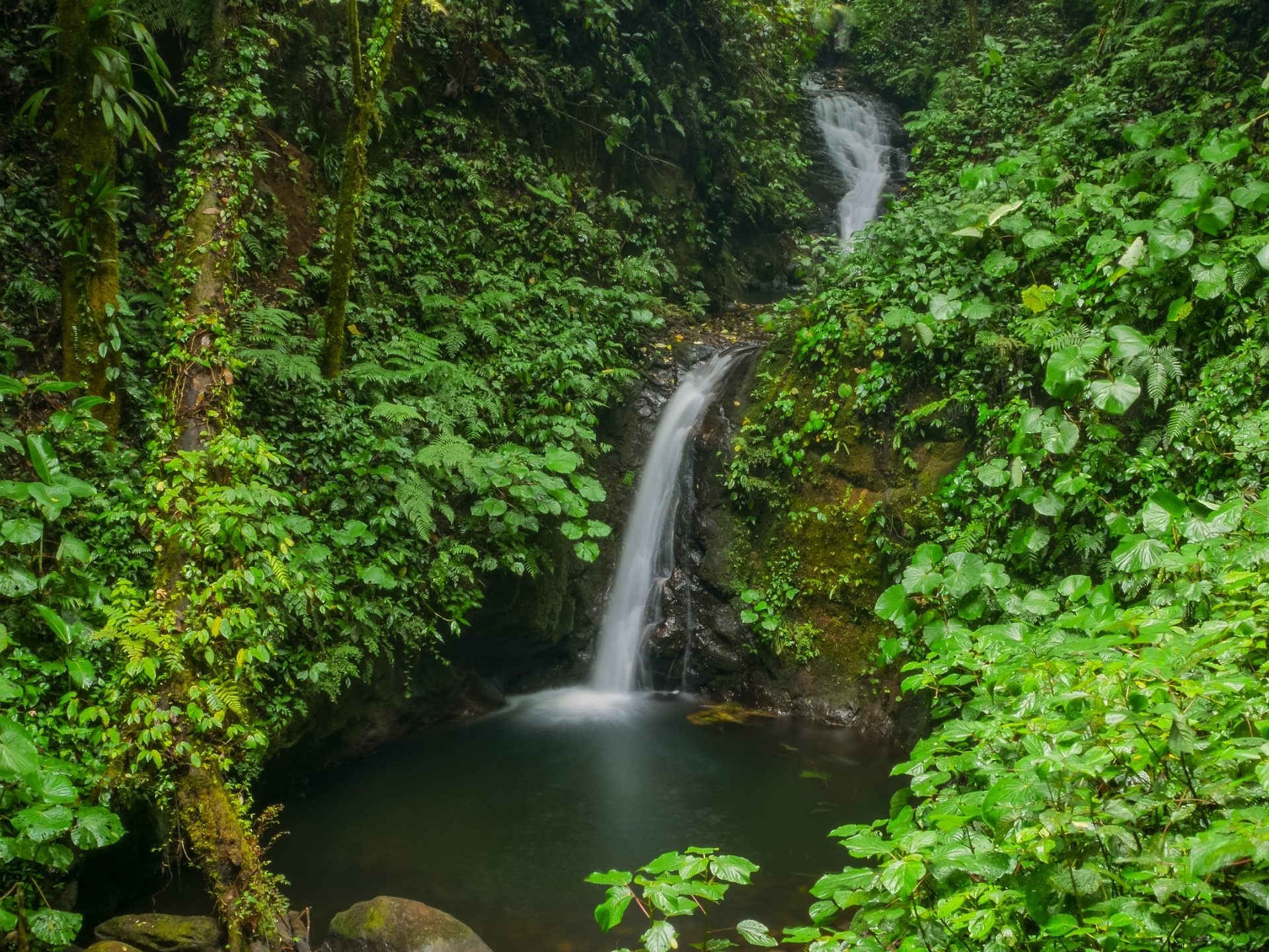 costa-rica-monteverde-trekkin-tour