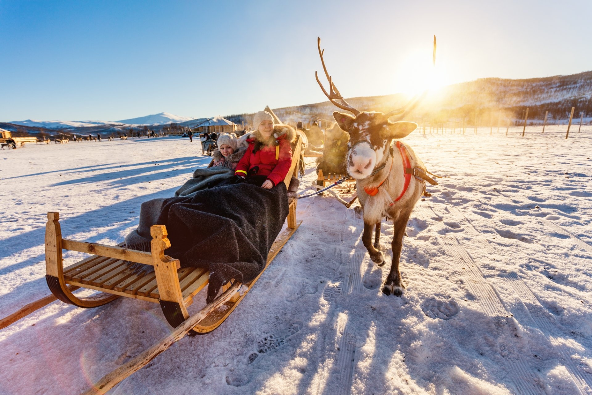 Planes en familia Laponia Finlandia