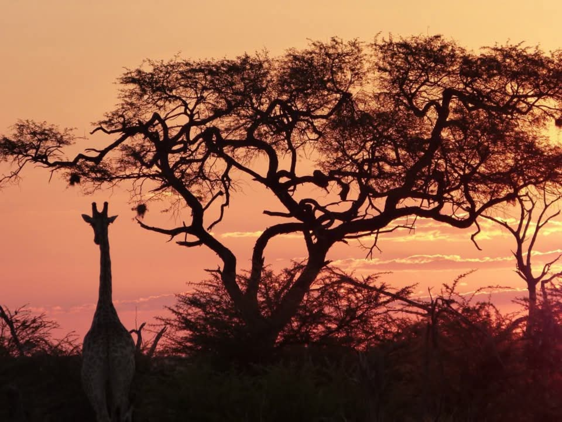 Puesta de sol en el continente africano