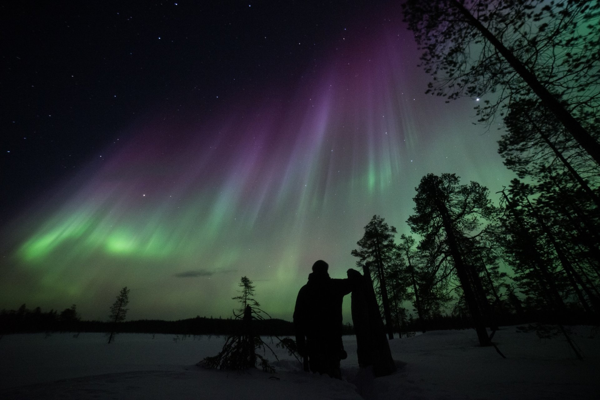 Aurora boreal Salla Finlandia