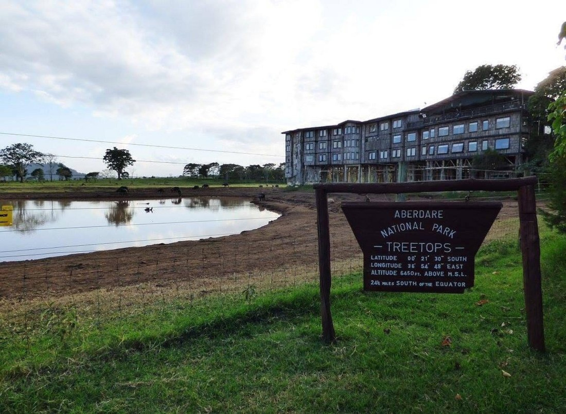 vista externa del Hotel Treetops