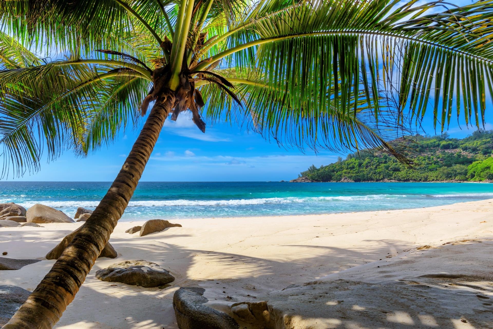 Barbados - Dynamic