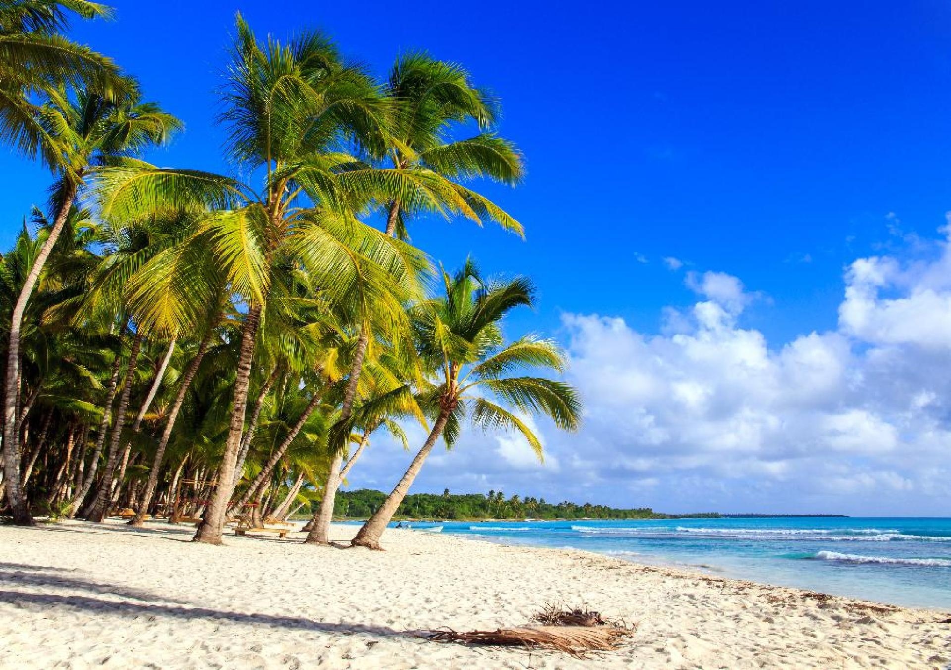 Punta Cana com Miches (Hyatt Inclusive Collection) - Quality Punta Cana com Miches (Hyatt Inclusive Collection) - Quality