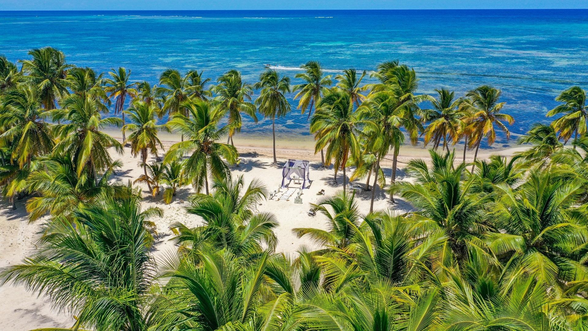 Punta Cana - Dynamic Punta Cana - Dynamic