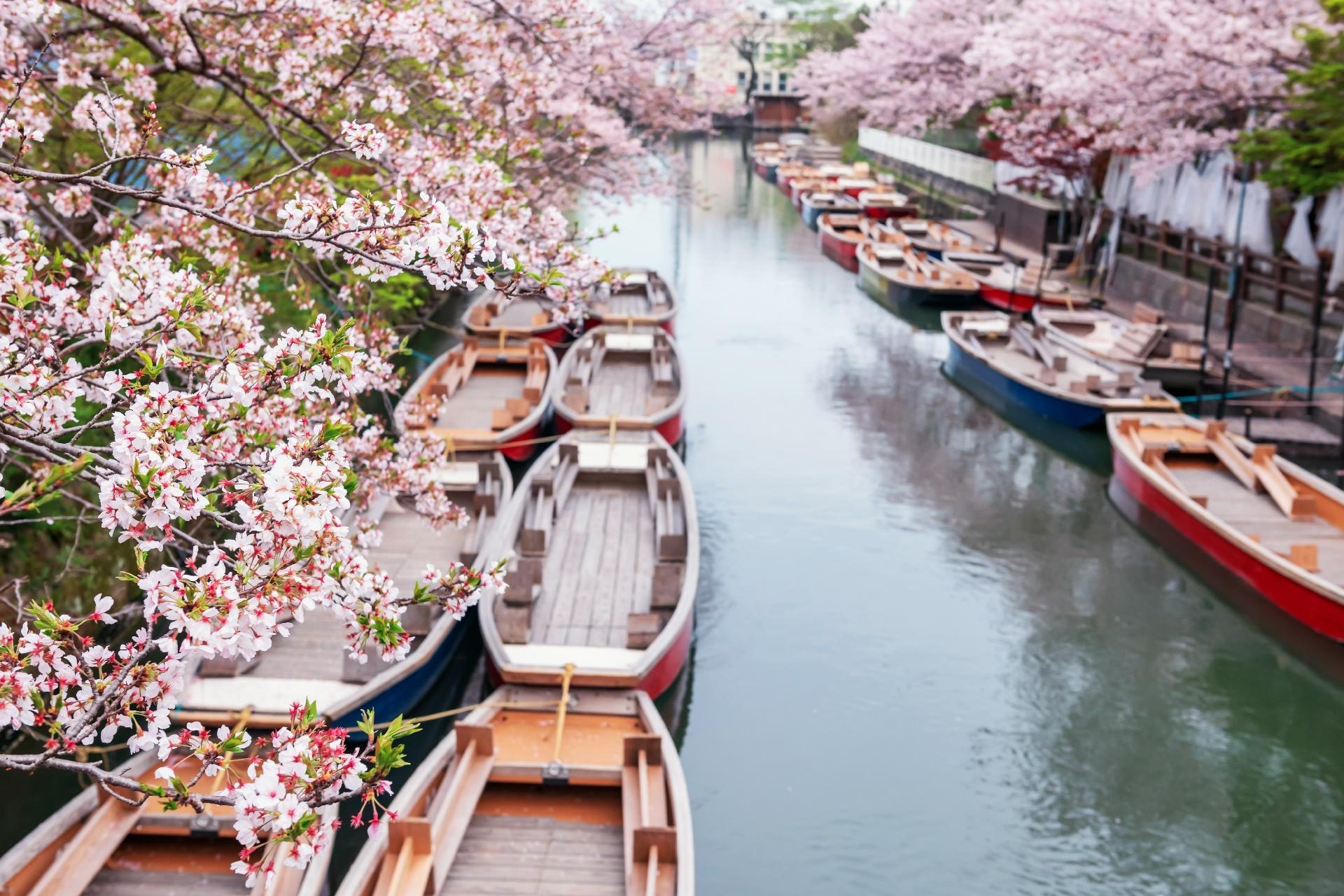 Perlas Japonesas con Hiroshima y la Isla de Kyushu Perlas Japonesas con Hiroshima y la Isla de Kyushu