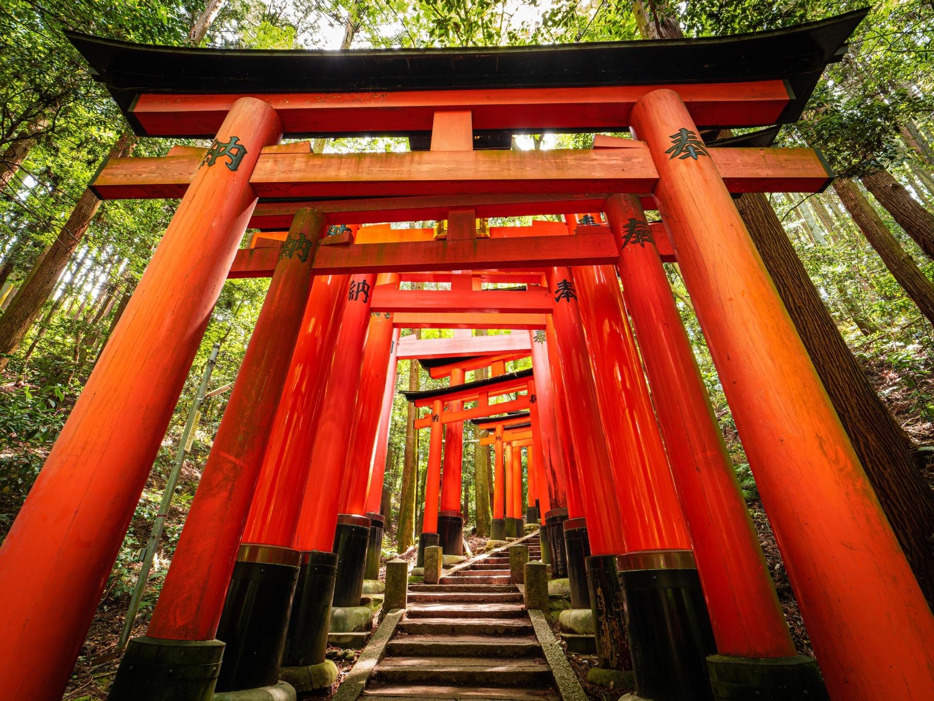 Lo mejor de Corea y Japón Lo mejor de Corea y Japón