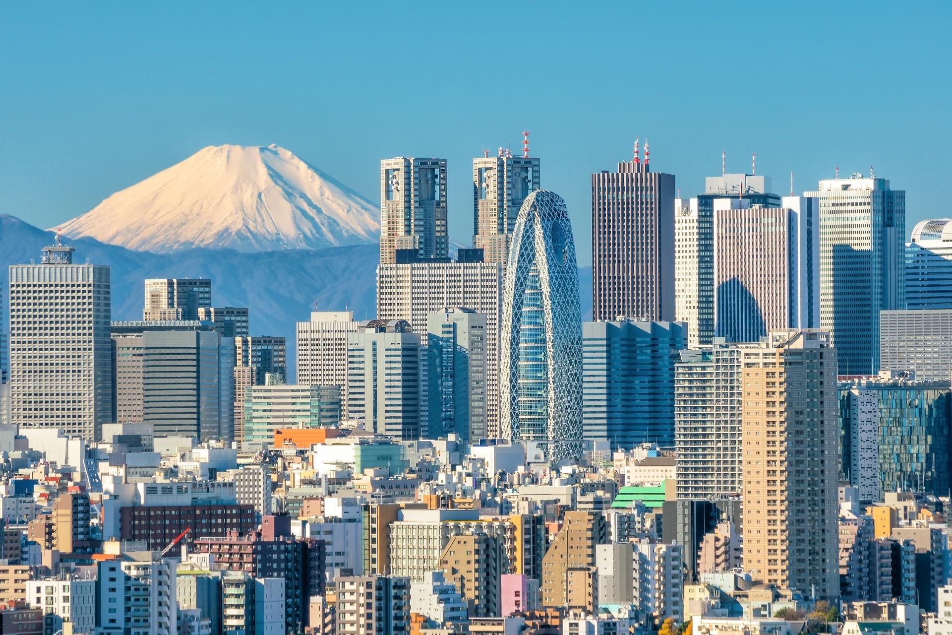 Perlas Coreanas y Tokio con el Monte Fuji Perlas Coreanas y Tokio con el Monte Fuji