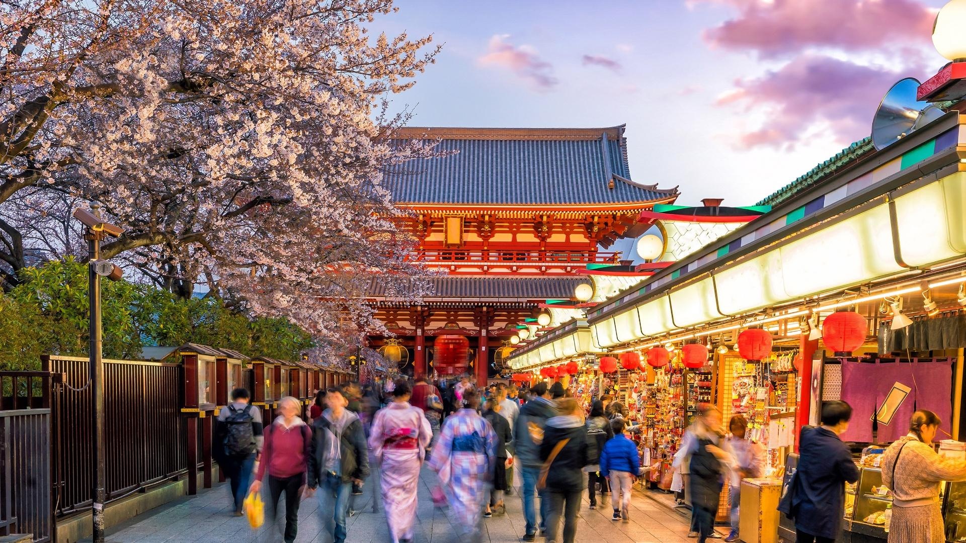 Japón Auténtico I Japón Auténtico I