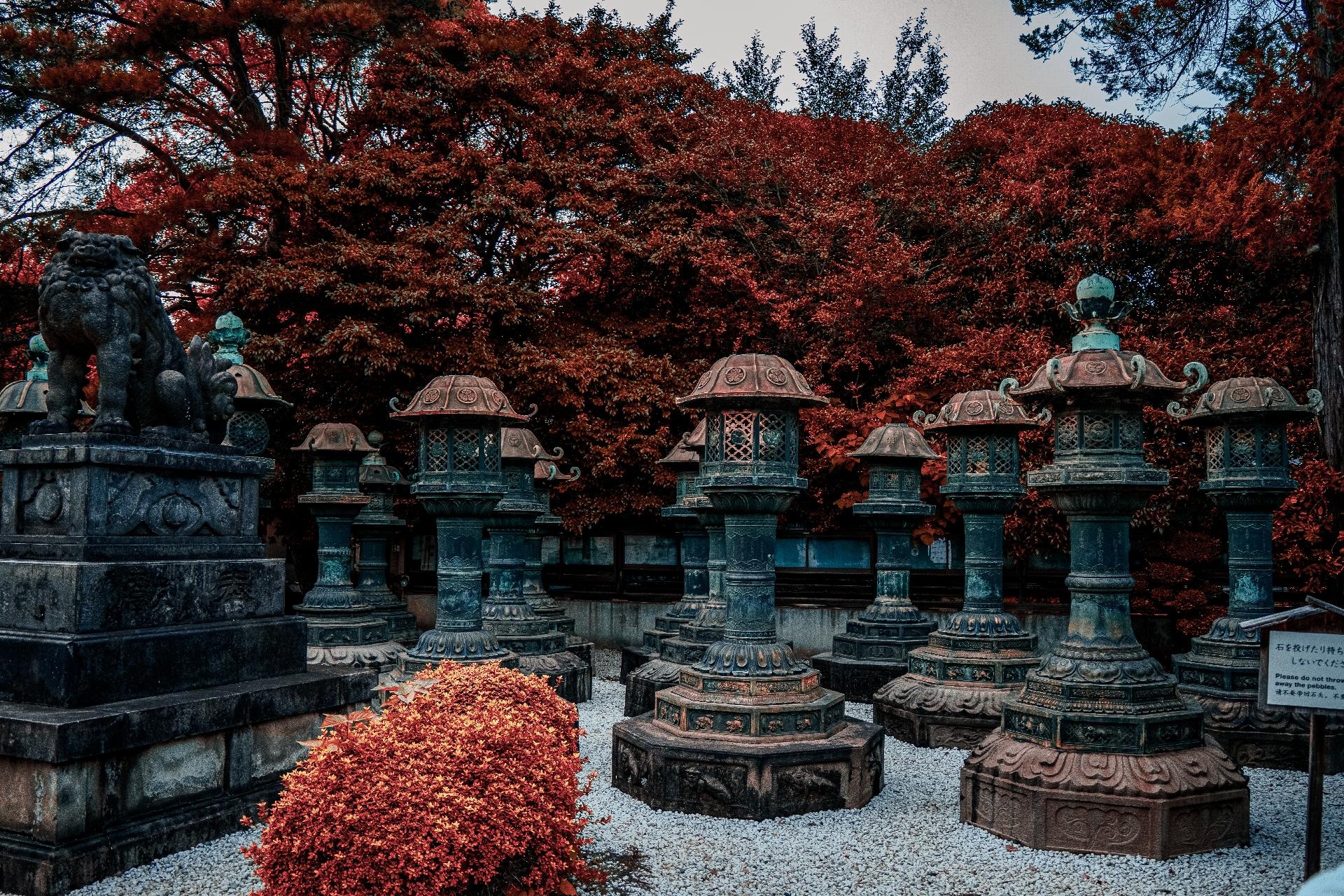 Amazing Japón
