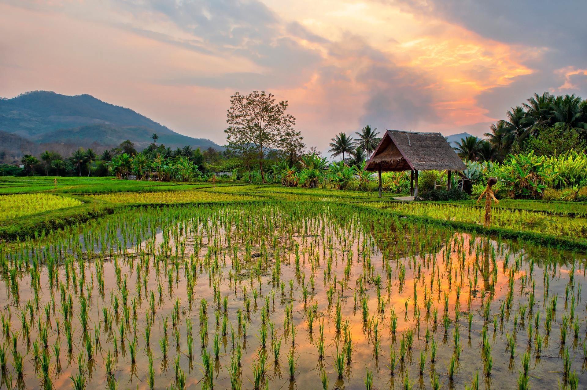 Lo Mejor de Tailandia y de Laos Lo Mejor de Tailandia y de Laos