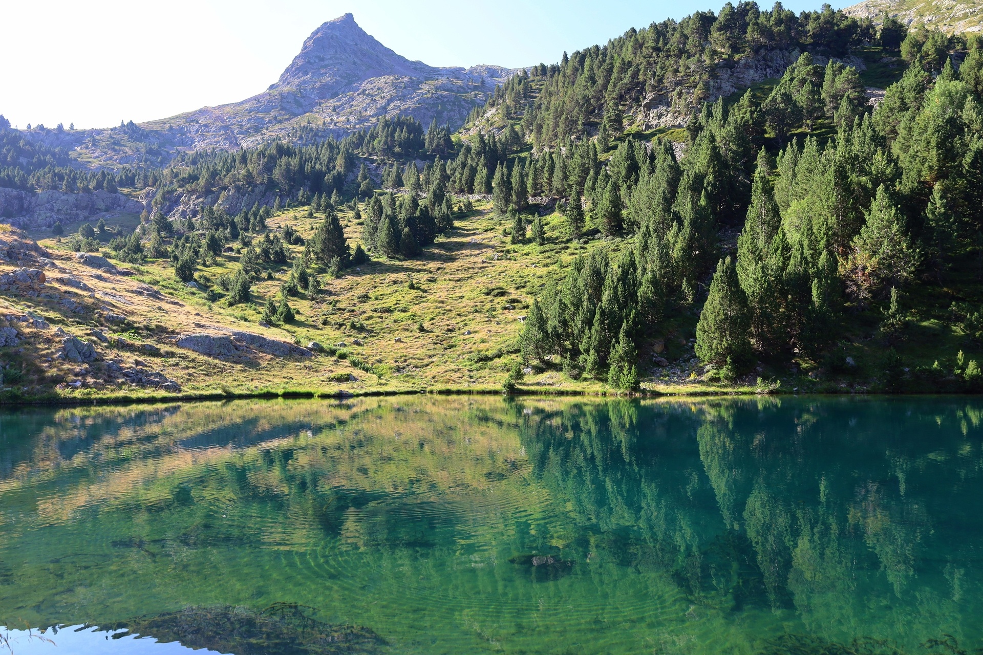 Senderismo en el Valle de Benasque Senderismo en el Valle de Benasque