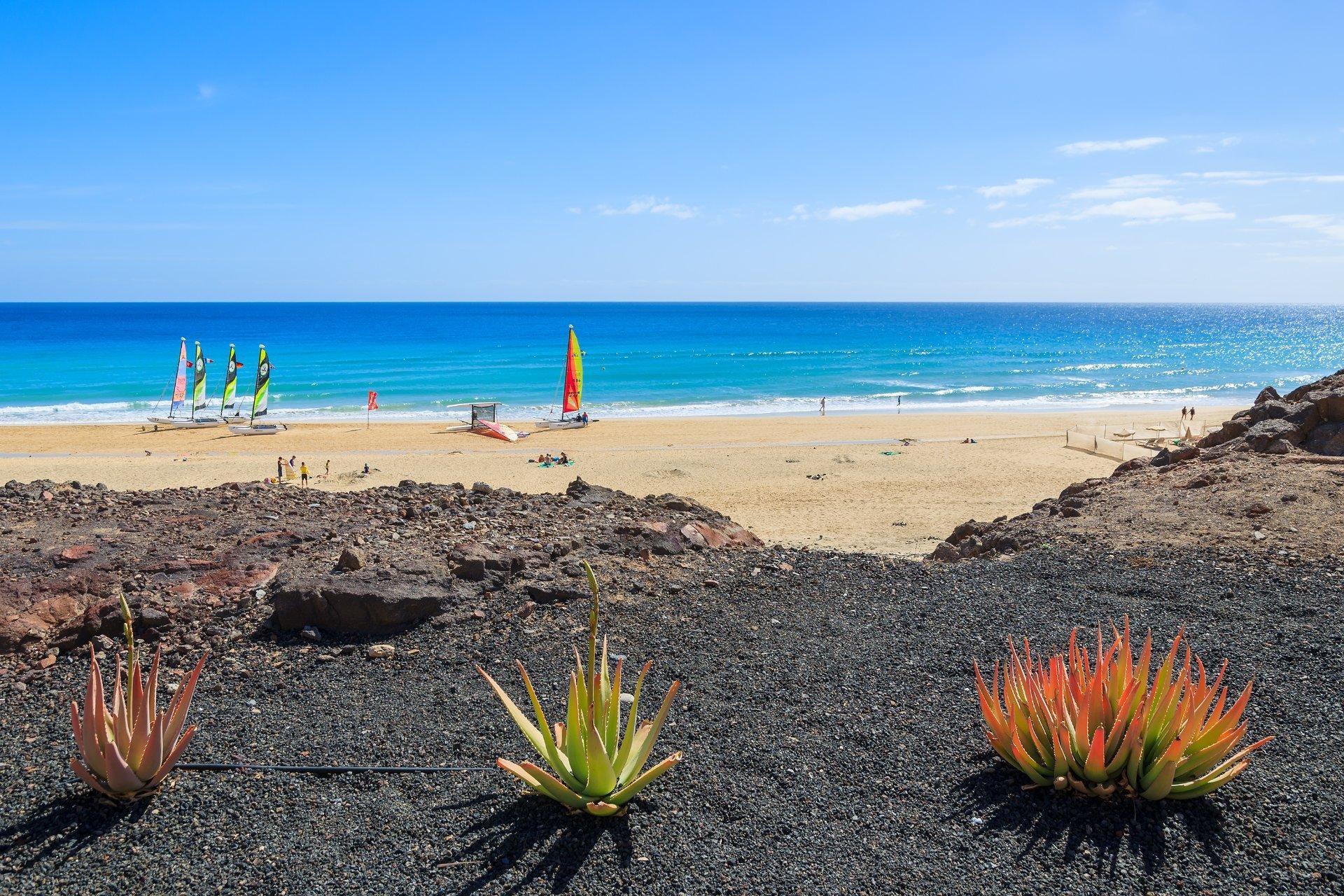 Fuerteventura - Seniors
