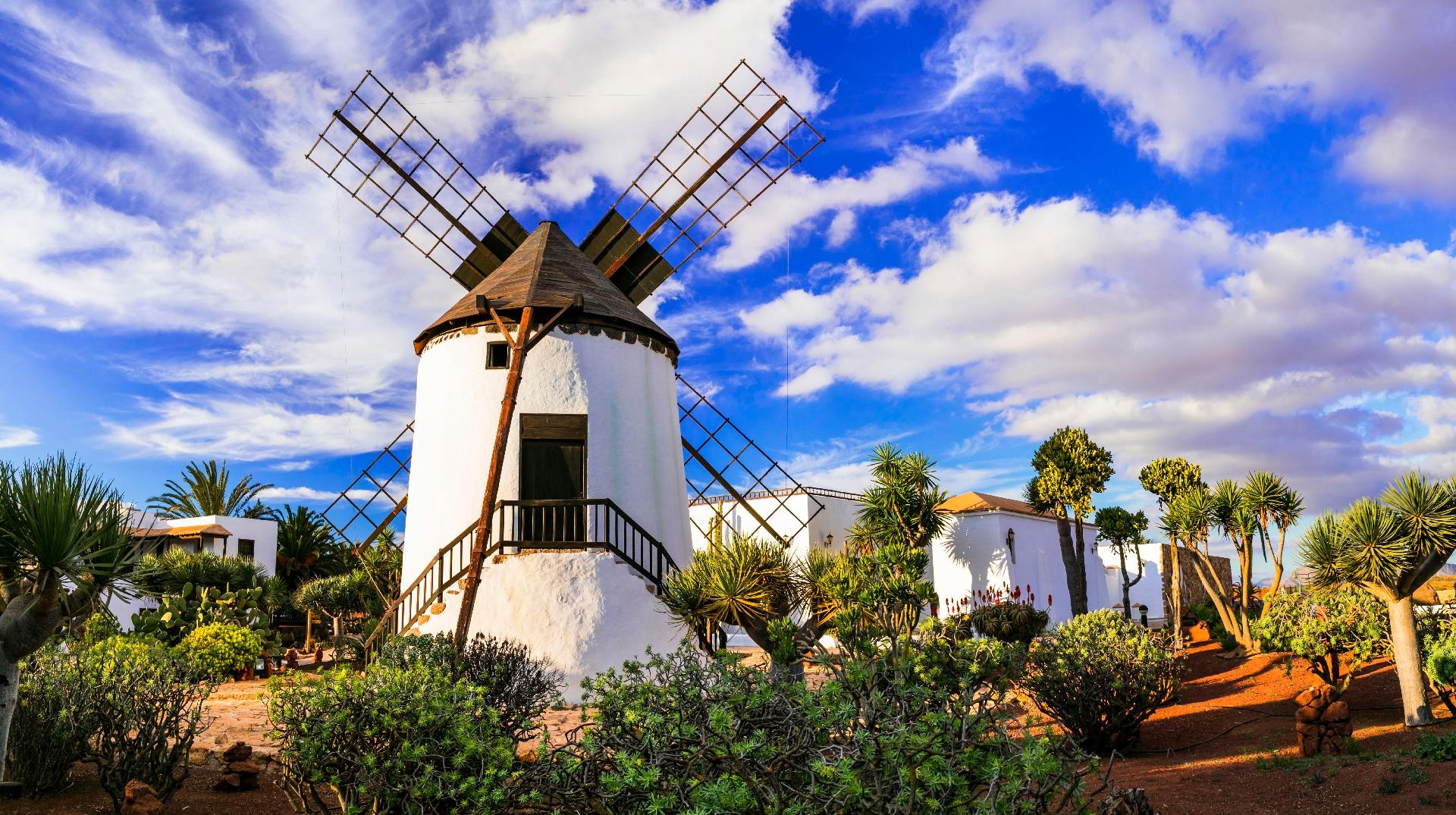 Combinado Tenerife - Fuerteventura