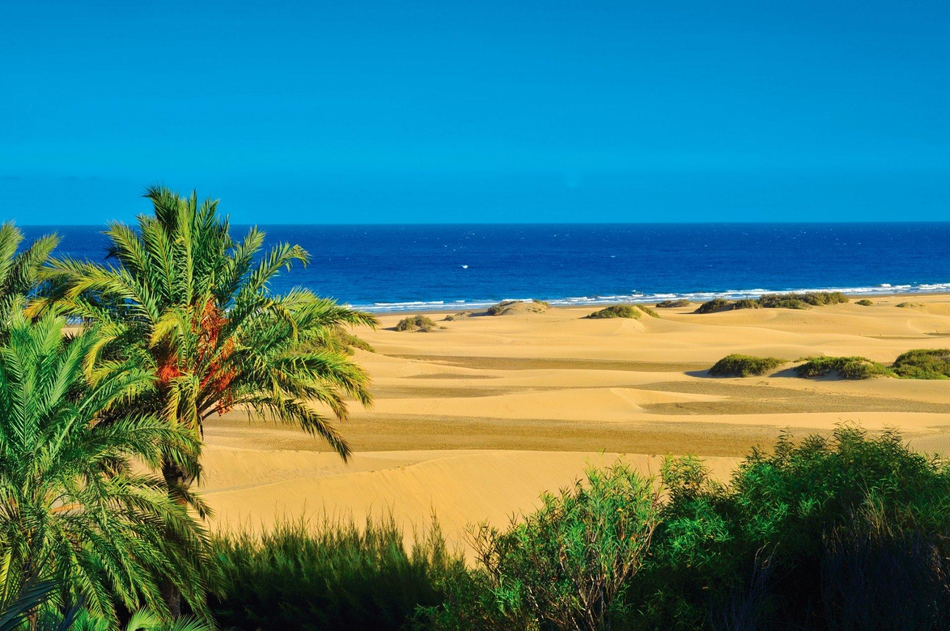 Las Palmas de Gran Canaria: Un continente en miniatura Las Palmas de Gran Canaria: Un continente en miniatura