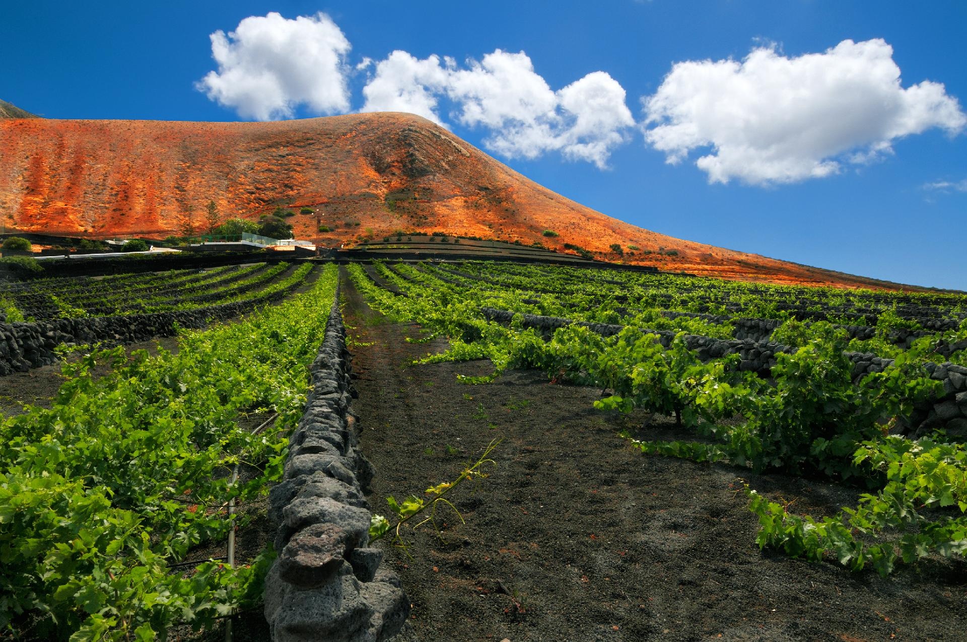 Lanzarote: El paisaje que nació del fuego (Últimas Plazas) Lanzarote: El paisaje que nació del fuego (Últimas Plazas)