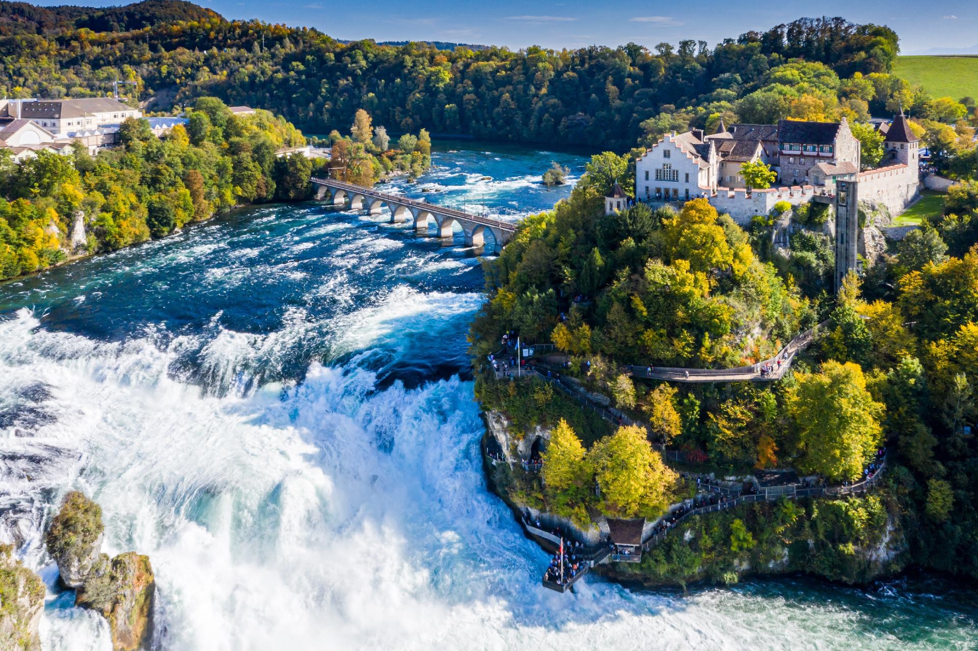 Suiza al Completo Suiza al Completo