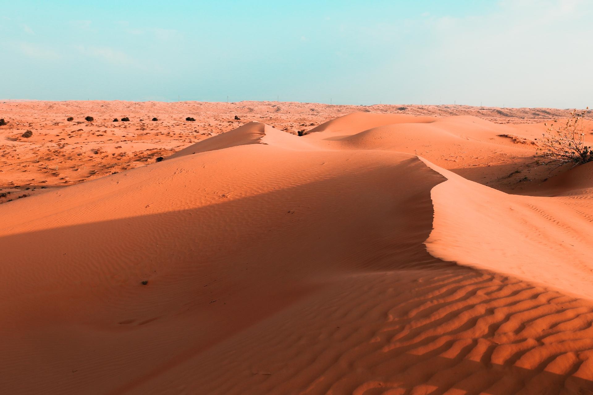Lo Mejor de Dubai y el Desierto Lo Mejor de Dubai y el Desierto