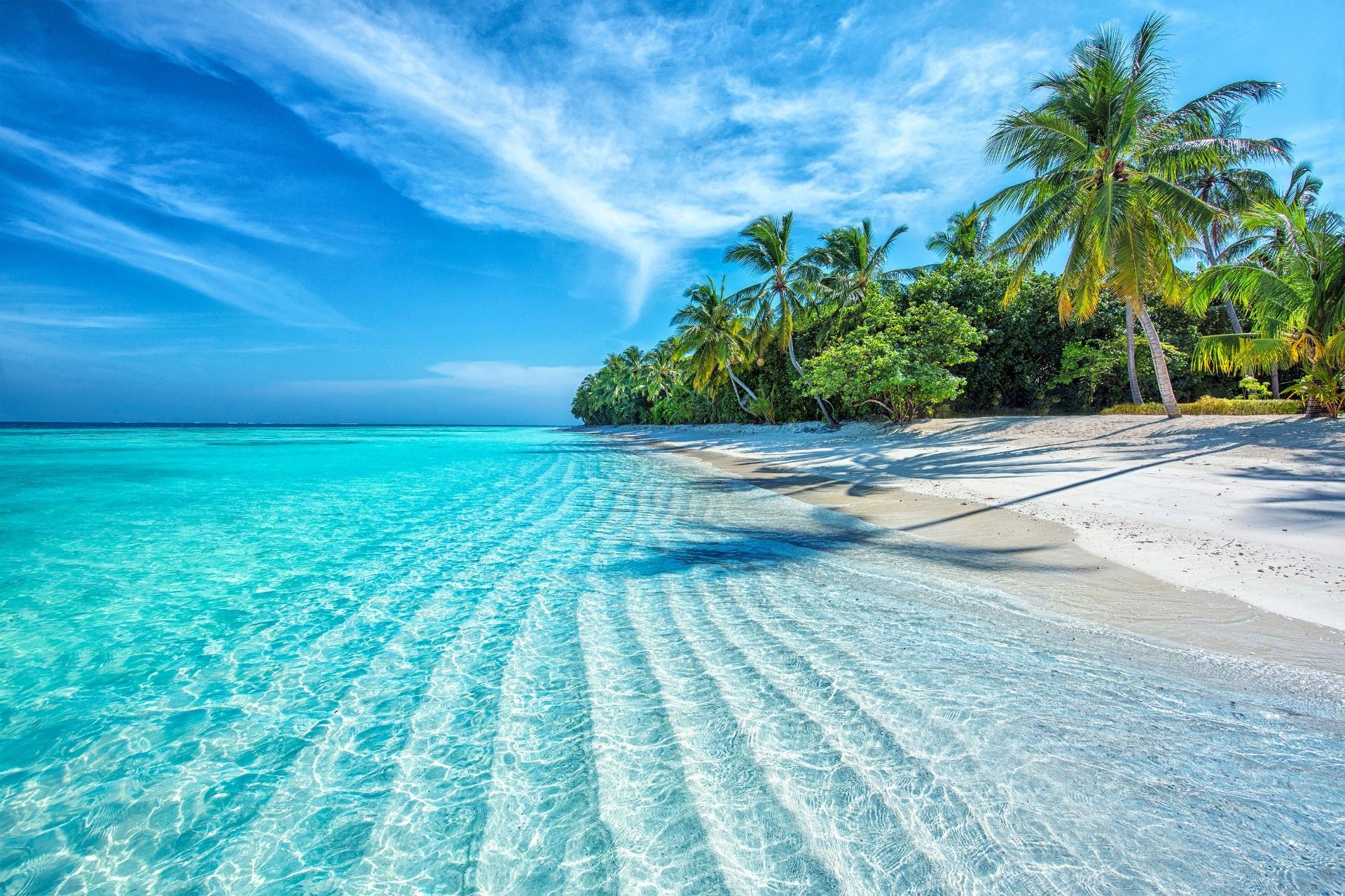 Playa Mujeres y Costa Mujeres - Absolut