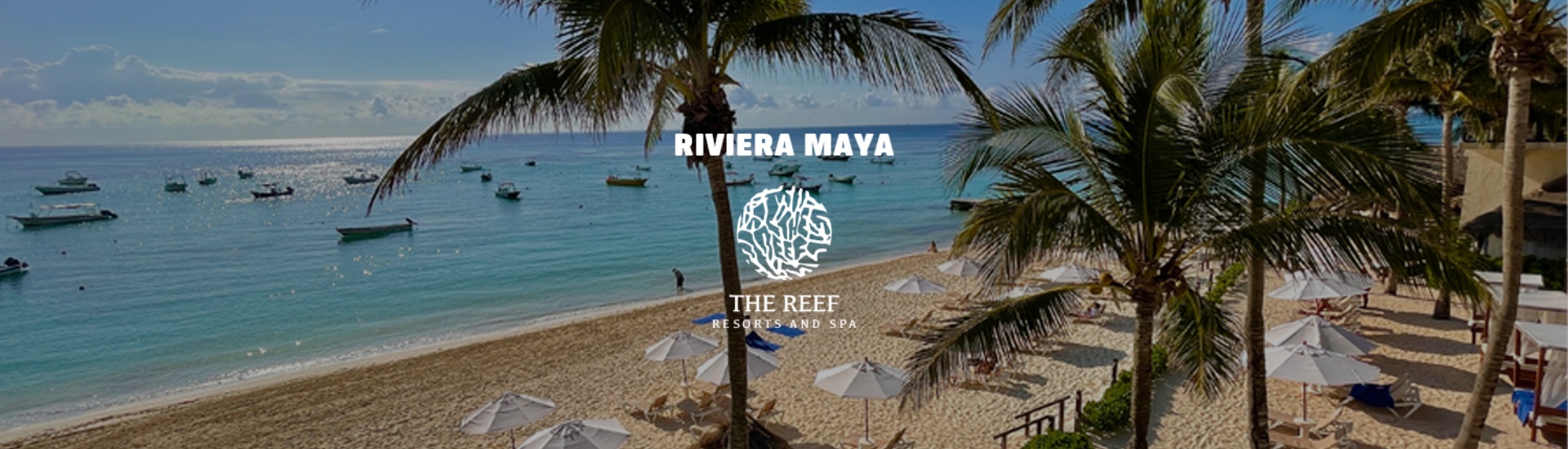 900x600_The_Reef_destino_web