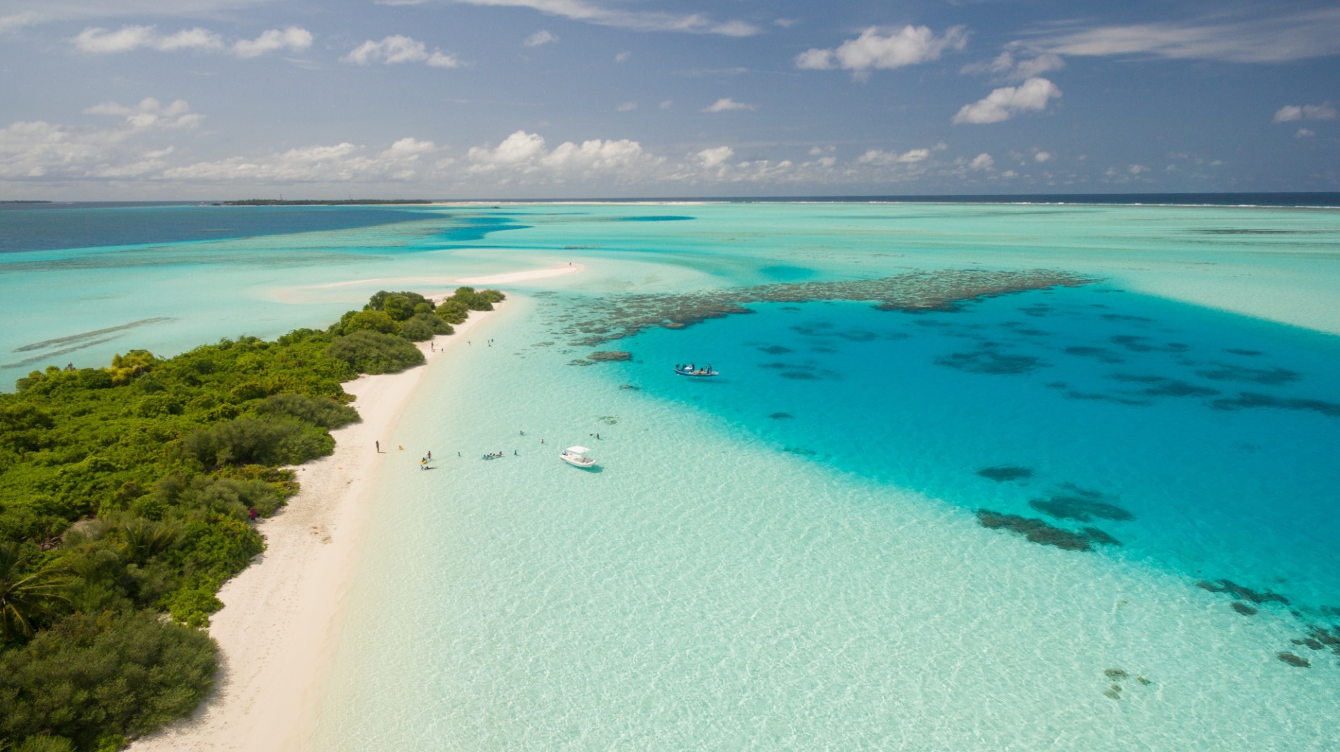 Viaje a playa paradisíaca en el Caribe