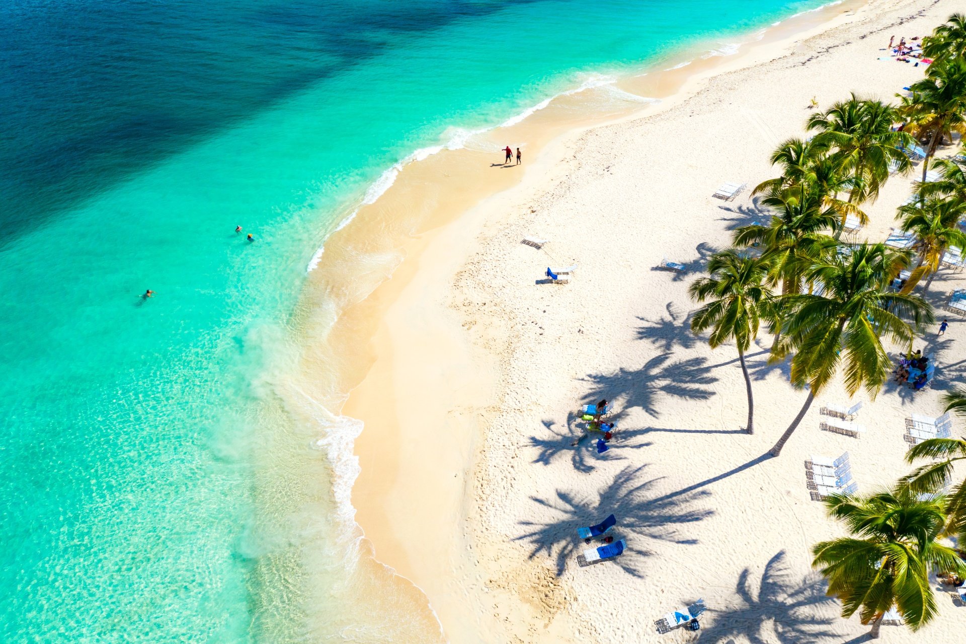 Playa de Punta Cana con palmeras