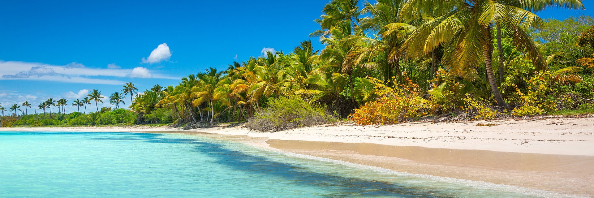 header(1)