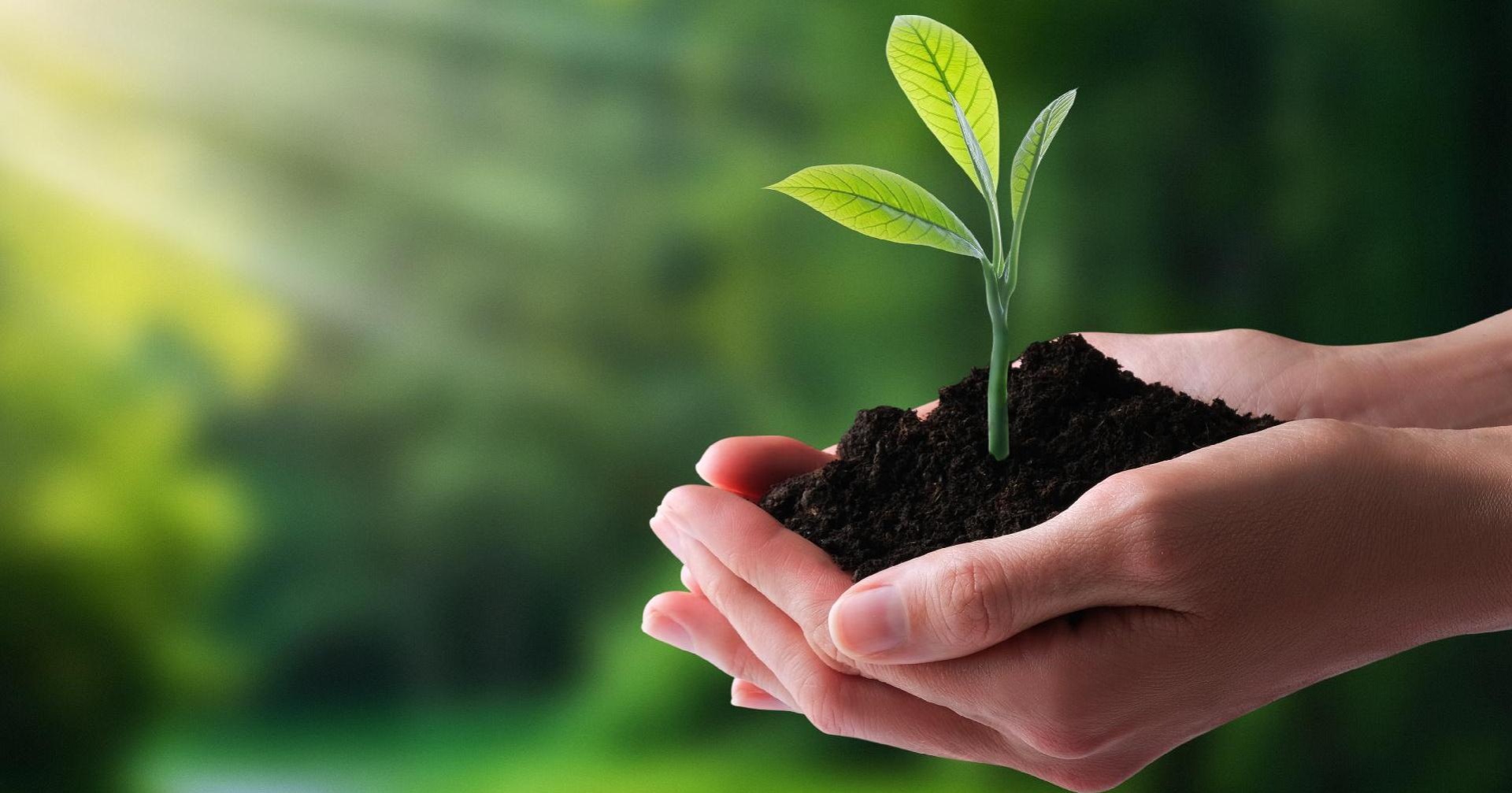 Transformación Responsable