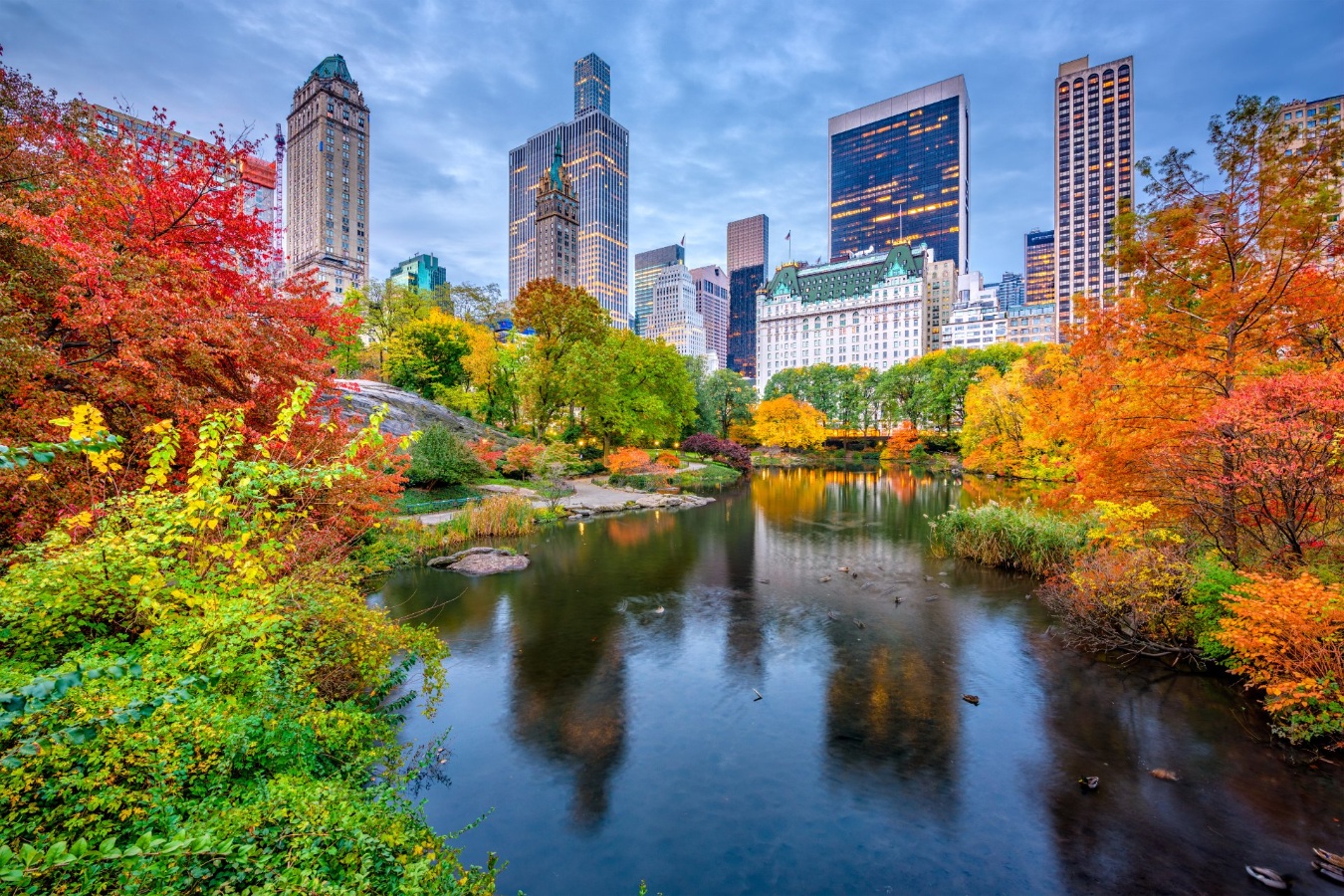 Nueva York, central park otoño Nueva York, central park otoño