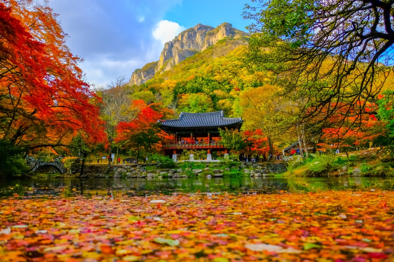 Corea, monte Seorak, hojas en otoño Corea, monte Seorak, hojas en otoño