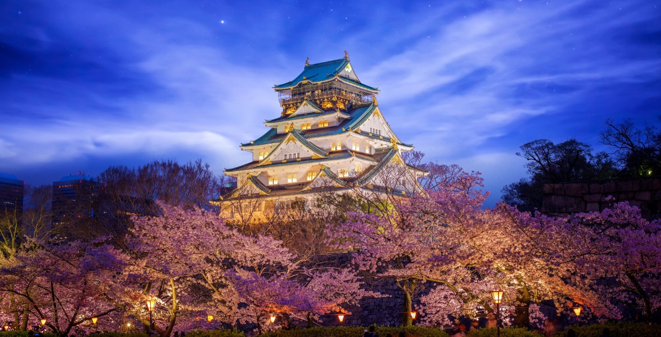 ext-castillo-himeji-noche-osaka ext-castillo-himeji-noche-osaka