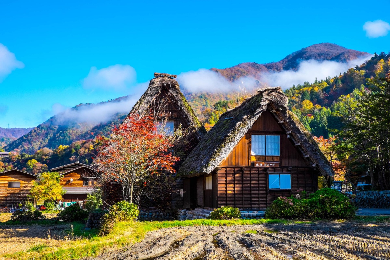 japon-shirakawago-aldea japon-shirakawago-aldea