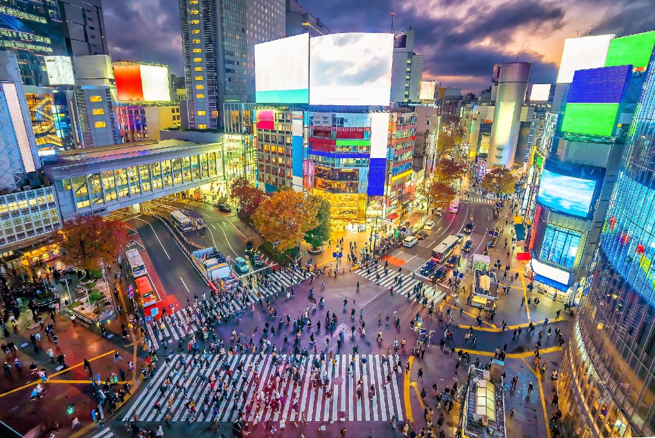 Japón, Tokio Shibuya iluminado cruzando crepúsculo Japón, Tokio Shibuya iluminado cruzando crepúsculo