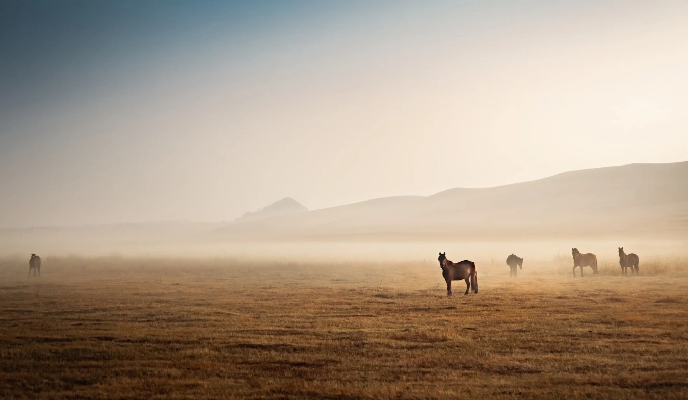 Mongolia_4