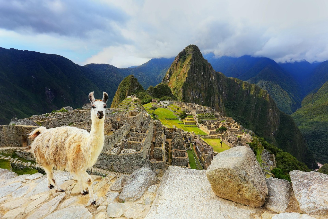 foto panorámica de Machu Pichu con llama en primer plano foto panorámica de Machu Pichu con llama en primer plano