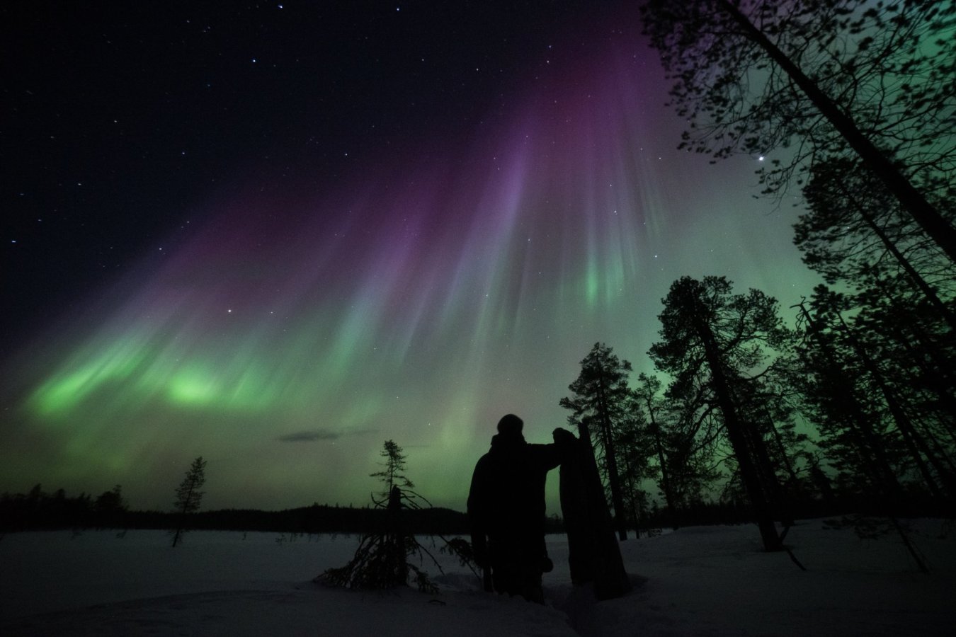 auroras-boreales-salla auroras-boreales-salla
