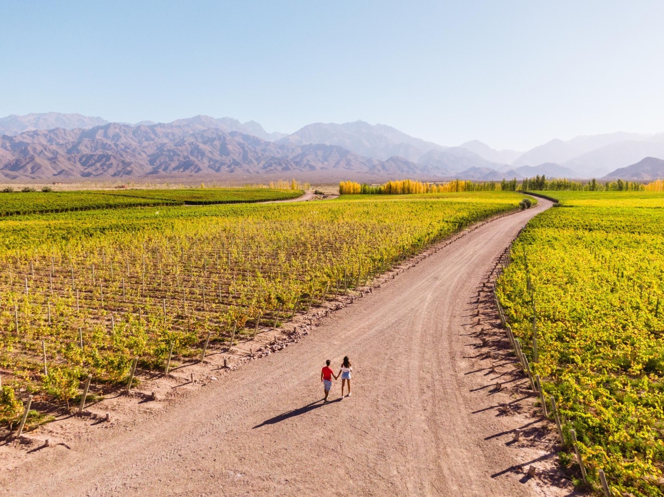 shutterstock_1490272349