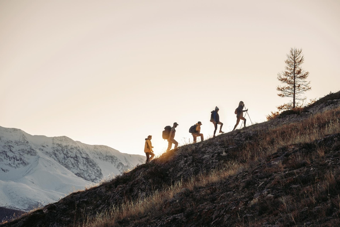 shutterstock_2268379095