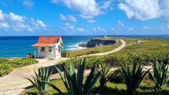 isla-mujeres-naturaleza